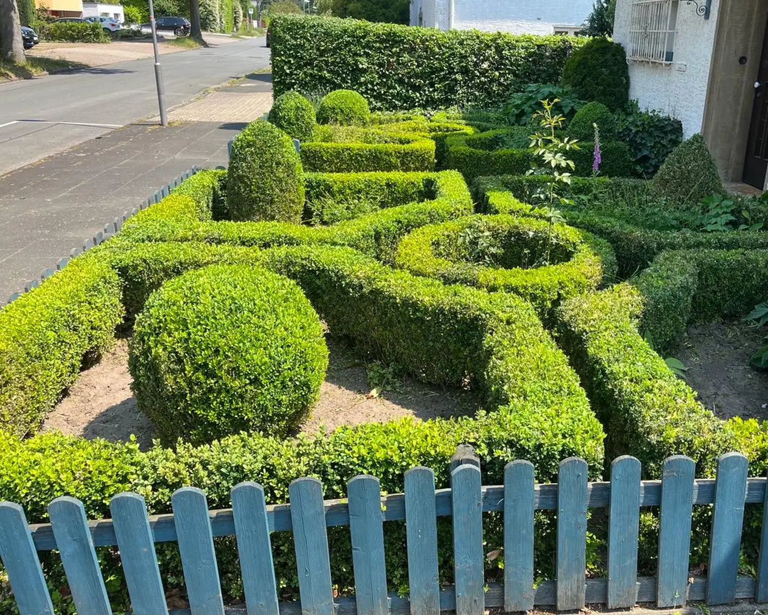 Garten, Zaun-Aufbau arbeiten, Renovierungsarbeiten & mehr