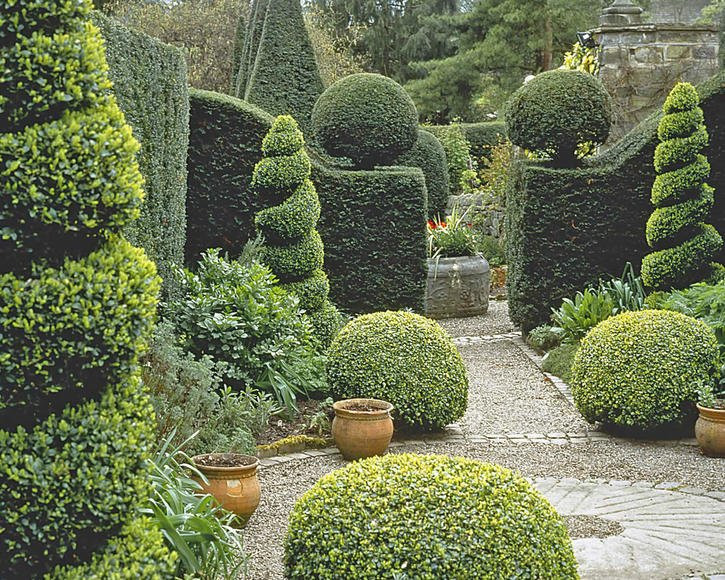 Garten, Zaun-Aufbau arbeiten, Renovierungsarbeiten & mehr